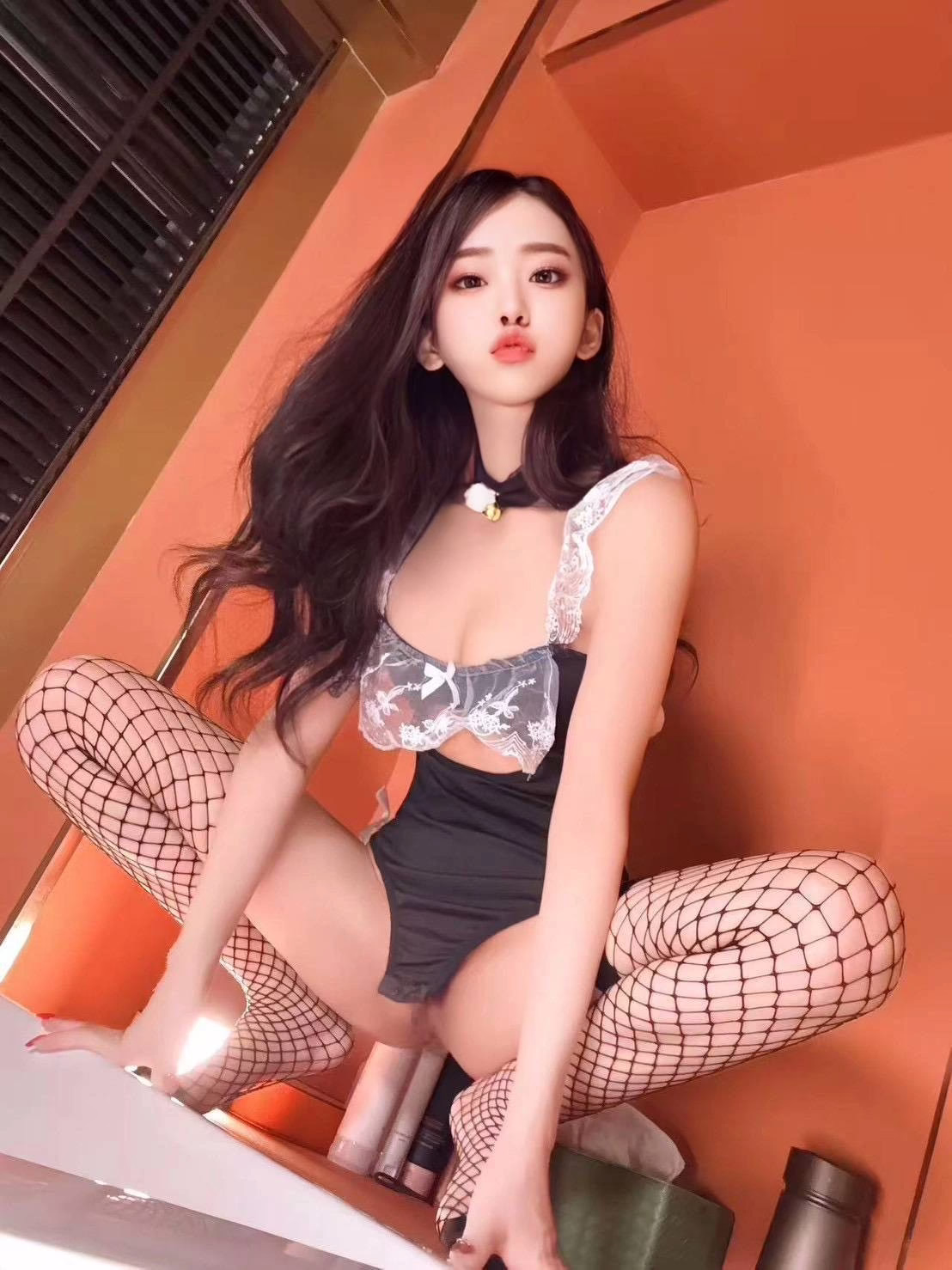 新竹定點茶-藤沙妃